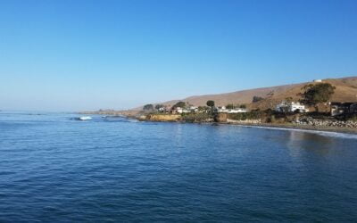 Top Reasons Why You Should Book Your Next Vacation in Cayucos