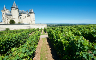 LOIRE TASTING 2020