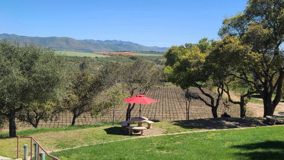 COTTONWOOD WINERY SANTA MARIA, CALIFORNIA Epicurean Angel
