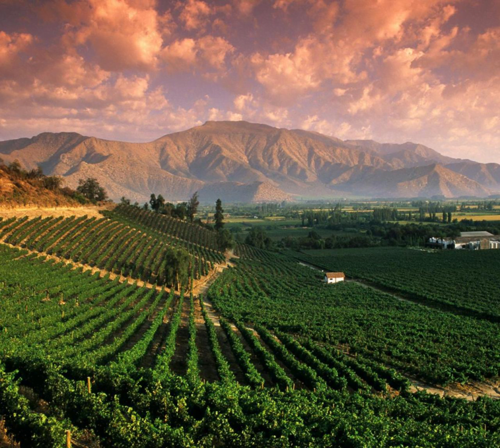 Mendoza is home to Argentina’s most famous wines and breathtaking views!