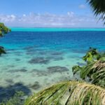 My “Gilligan’s Island” of Wine in French Polynesia