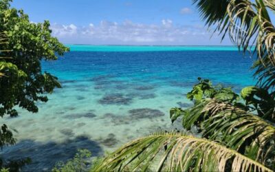 My “Gilligan’s Island” of Wine in French Polynesia